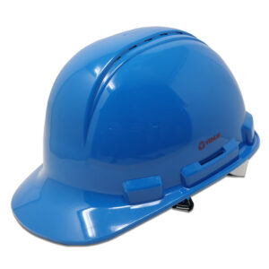 Venus Safety Products